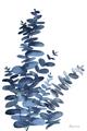 Picture of Navy Blue Eucalyptus I  _GroupedProduct_Rectangle_Portrait_Unframed_Print_Only_