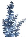 Picture of Navy Blue Eucalyptus I  _GroupedProduct_Rectangle_Portrait_Unframed_Print_Only_