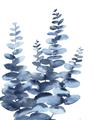 Picture of Navy Blue Eucalyptus II _GroupedProduct_Rectangle_Portrait_Unframed_Print_Only_