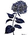 Picture of Blue Flower on White II  _GroupedProduct_Rectangle_Portrait_Unframed_Print_Only_