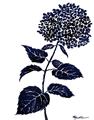 Picture of Blue Flower on White II  _GroupedProduct_Rectangle_Portrait_Unframed_Print_Only_
