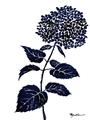 Picture of Blue Flower on White II  _GroupedProduct_Rectangle_Portrait_Unframed_Print_Only_