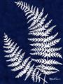 Picture of Fern on blue II _GroupedProduct_Rectangle_Portrait_Unframed_Print_Only_