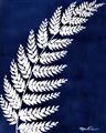 Picture of Fern on blue I  _GroupedProduct_Rectangle_Portrait_Unframed_Print_Only_