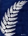 Picture of Fern on blue I  _GroupedProduct_Rectangle_Portrait_Unframed_Print_Only_