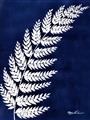 Picture of Fern on blue I  _GroupedProduct_Rectangle_Portrait_Unframed_Print_Only_