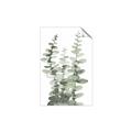 Picture of Eucalyptus Growing I _GroupedProduct_Rectangle_Portrait_Unframed_Print_Only_