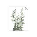 Picture of Eucalyptus Growing I _GroupedProduct_Rectangle_Portrait_Unframed_Print_Only_