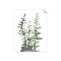 Picture of Eucalyptus Growing I _GroupedProduct_Rectangle_Portrait_Unframed_Print_Only_