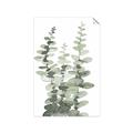 Picture of Eucalyptus Growing I _GroupedProduct_Rectangle_Portrait_Unframed_Print_Only_