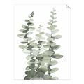Picture of Eucalyptus Growing I _GroupedProduct_Rectangle_Portrait_Unframed_Print_Only_