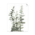 Picture of Eucalyptus Growing I _GroupedProduct_Rectangle_Portrait_Unframed_Print_Only_