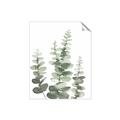 Picture of Eucalyptus Growing II  _GroupedProduct_Rectangle_Portrait_Unframed_Print_Only_