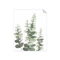 Picture of Eucalyptus Growing II  _GroupedProduct_Rectangle_Portrait_Unframed_Print_Only_