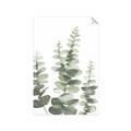 Picture of Eucalyptus Growing II  _GroupedProduct_Rectangle_Portrait_Unframed_Print_Only_