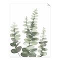 Picture of Eucalyptus Growing II  _GroupedProduct_Rectangle_Portrait_Unframed_Print_Only_