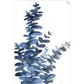 Picture of Navy Blue Eucalyptus I  _GroupedProduct_Rectangle_Portrait_Unframed_Print_Only_