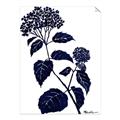 Picture of Blue Flower on White I _GroupedProduct_Rectangle_Portrait_Unframed_Print_Only_
