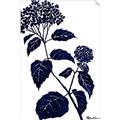Picture of Blue Flower on White I _GroupedProduct_Rectangle_Portrait_Unframed_Print_Only_