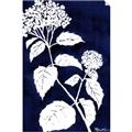 Picture of Flower on Blue II  _GroupedProduct_Rectangle_Portrait_Unframed_Print_Only_