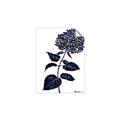 Picture of Blue Flower on White II  _GroupedProduct_Rectangle_Portrait_Unframed_Print_Only_