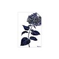 Picture of Blue Flower on White II  _GroupedProduct_Rectangle_Portrait_Unframed_Print_Only_