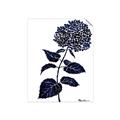 Picture of Blue Flower on White II  _GroupedProduct_Rectangle_Portrait_Unframed_Print_Only_