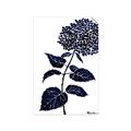 Picture of Blue Flower on White II  _GroupedProduct_Rectangle_Portrait_Unframed_Print_Only_