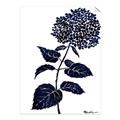 Picture of Blue Flower on White II  _GroupedProduct_Rectangle_Portrait_Unframed_Print_Only_