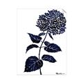 Picture of Blue Flower on White II  _GroupedProduct_Rectangle_Portrait_Unframed_Print_Only_