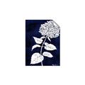 Picture of Flower on Blue I _GroupedProduct_Rectangle_Portrait_Unframed_Print_Only_