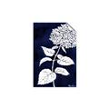 Picture of Flower on Blue I _GroupedProduct_Rectangle_Portrait_Unframed_Print_Only_