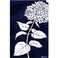 Picture of Flower on Blue I _GroupedProduct_Rectangle_Portrait_Unframed_Print_Only_