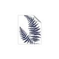 Picture of Fern on white  II _GroupedProduct_Rectangle_Portrait_Unframed_Print_Only_