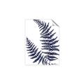 Picture of Fern on white  II _GroupedProduct_Rectangle_Portrait_Unframed_Print_Only_