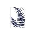 Picture of Fern on white  II _GroupedProduct_Rectangle_Portrait_Unframed_Print_Only_