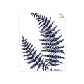 Picture of Fern on white  II _GroupedProduct_Rectangle_Portrait_Unframed_Print_Only_