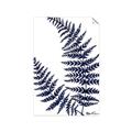 Picture of Fern on white  II _GroupedProduct_Rectangle_Portrait_Unframed_Print_Only_