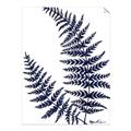 Picture of Fern on white  II _GroupedProduct_Rectangle_Portrait_Unframed_Print_Only_