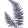 Picture of Fern on white  II _GroupedProduct_Rectangle_Portrait_Unframed_Print_Only_