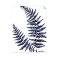Picture of Fern on white  II _GroupedProduct_Rectangle_Portrait_Unframed_Print_Only_