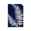 Picture of Fern on blue II _GroupedProduct_Rectangle_Portrait_Unframed_Print_Only_