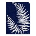 Picture of Fern on blue II _GroupedProduct_Rectangle_Portrait_Unframed_Print_Only_