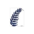 Picture of Fern on white I _GroupedProduct_Rectangle_Portrait_Unframed_Print_Only_