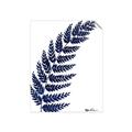 Picture of Fern on white I _GroupedProduct_Rectangle_Portrait_Unframed_Print_Only_