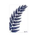 Picture of Fern on white I _GroupedProduct_Rectangle_Portrait_Unframed_Print_Only_
