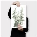 Picture of Eucalyptus Growing I _GroupedProduct_Rectangle_Portrait_Canvas_