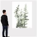 Picture of Eucalyptus Growing I _GroupedProduct_Rectangle_Portrait_Canvas_