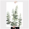 Picture of Eucalyptus Growing II  _GroupedProduct_Rectangle_Portrait_Canvas_
