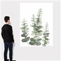 Picture of Eucalyptus Growing II  _GroupedProduct_Rectangle_Portrait_Canvas_